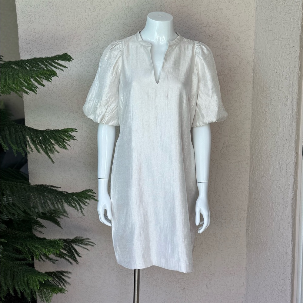 Ann Taylor Dress